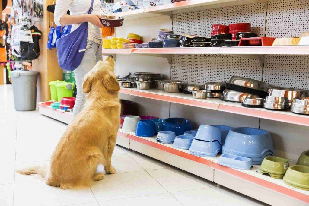 pet store