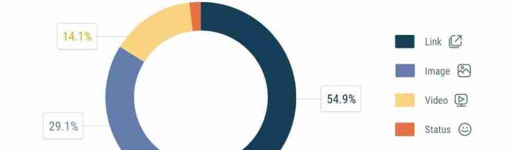 Report Facebook Quintly 1